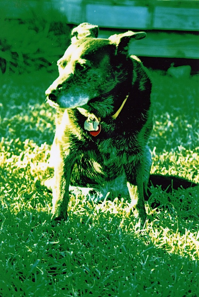 Charlie